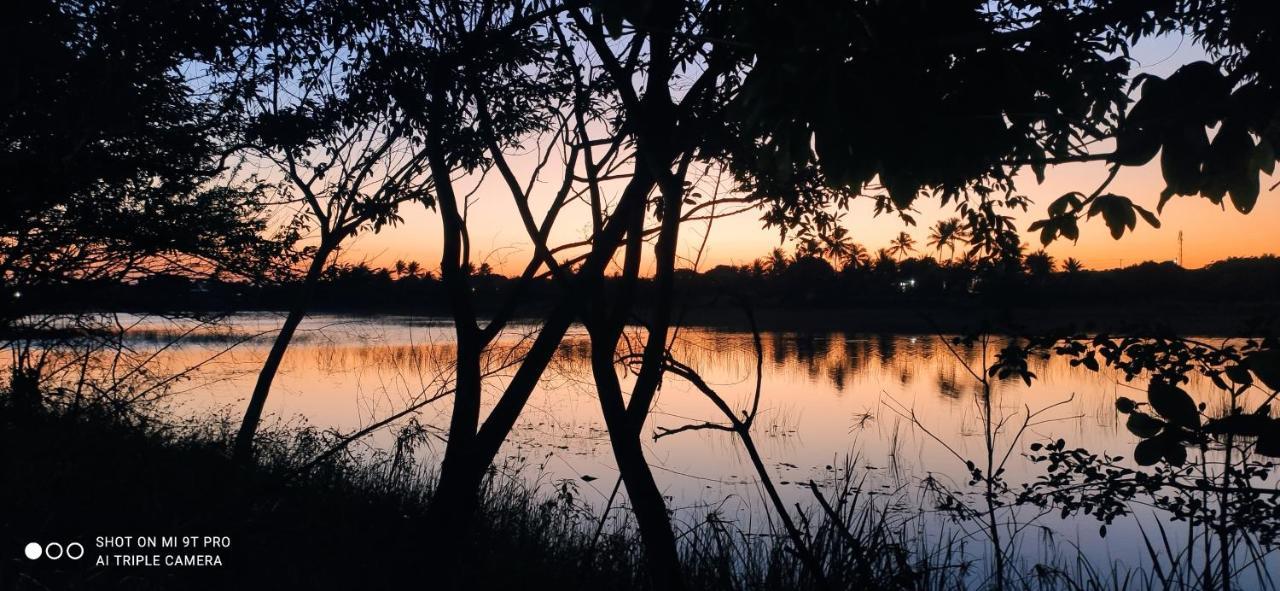 Villa Pe Na Areia Itacimirim Camaçari Esterno foto
